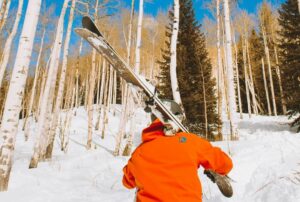 TWINTIPS SKI