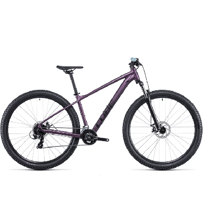 Cube Access WS EAZ 2021