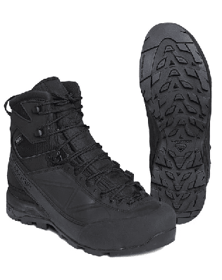 Salomon X ALP MTN Forces GTX