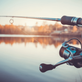 fishing rods
